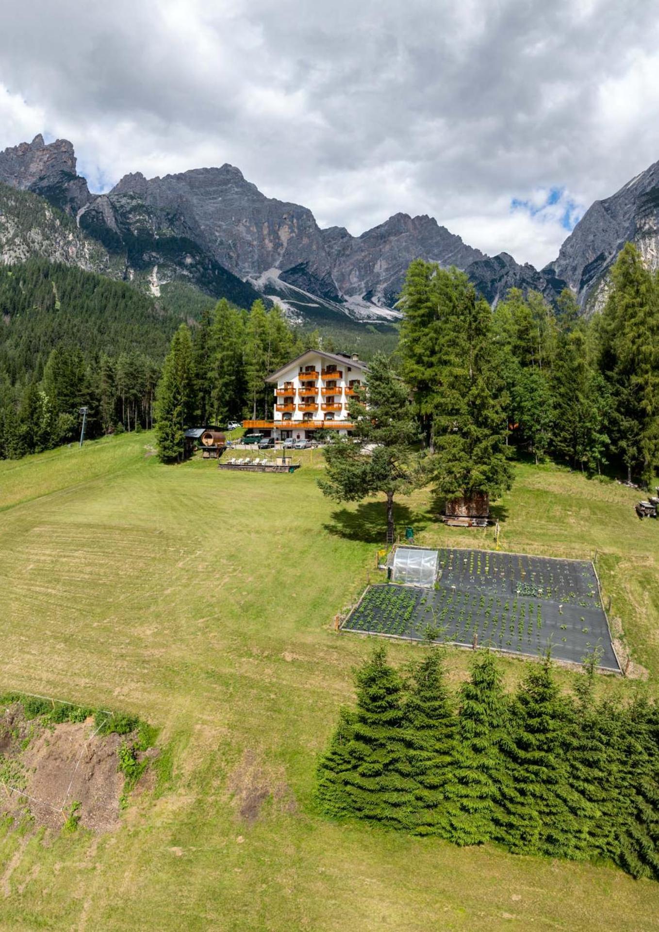 Hotel Il Cardo San Vito di Cadore Exteriör bild