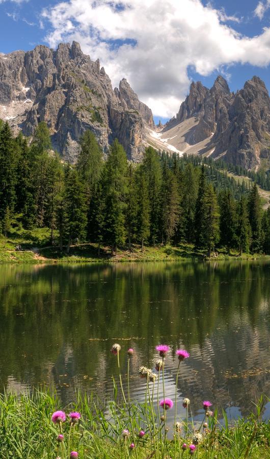 Hotel Il Cardo San Vito di Cadore Exteriör bild