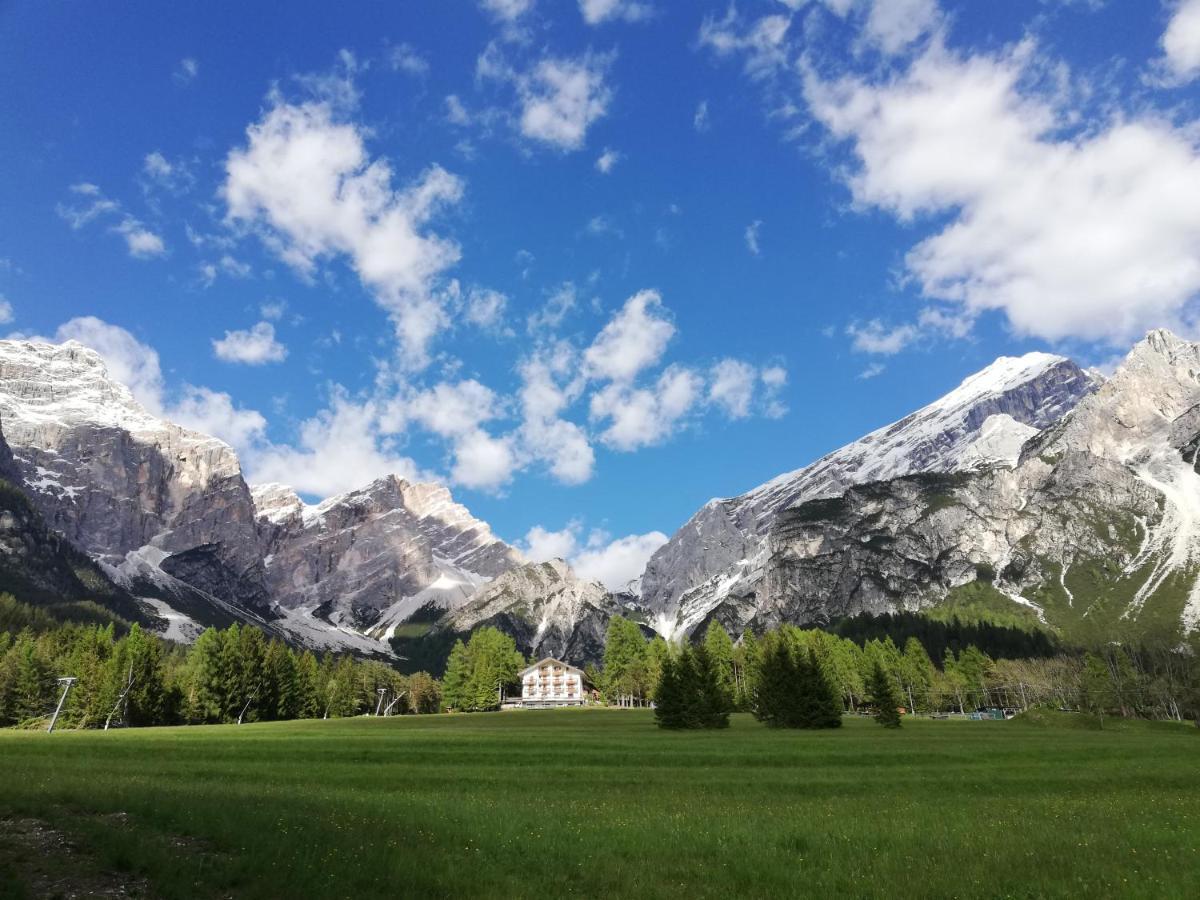 Hotel Il Cardo San Vito di Cadore Exteriör bild