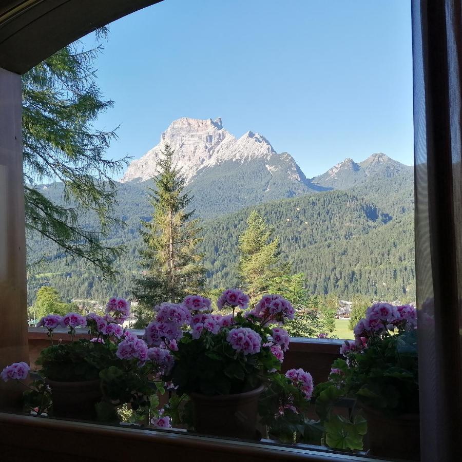 Hotel Il Cardo San Vito di Cadore Exteriör bild