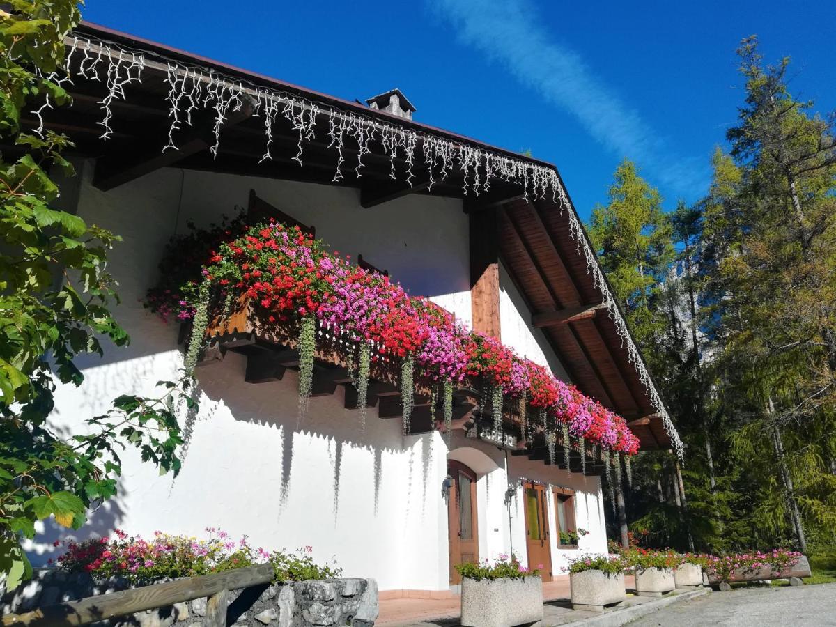 Hotel Il Cardo San Vito di Cadore Exteriör bild